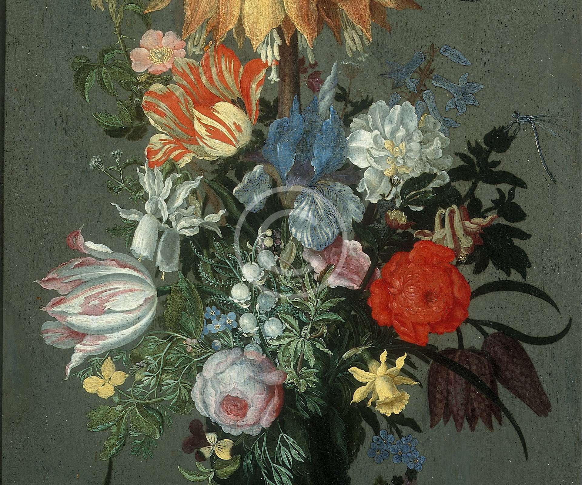 Johannes Bosschaert